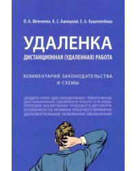 Удаленка. Дистанционная (удаленная) работа. Комментарий законодательства и схемы