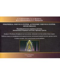 Периферическая нервная система. Автономная нервная система. Органы чувств. Рабочая тетрадь
