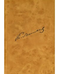 Полное собрание сочинений и писем в 12 томах. Приложение. Том 2. Письма к К.Н. Леонтьеву. Статьи