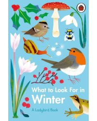 What to Look For in Winter