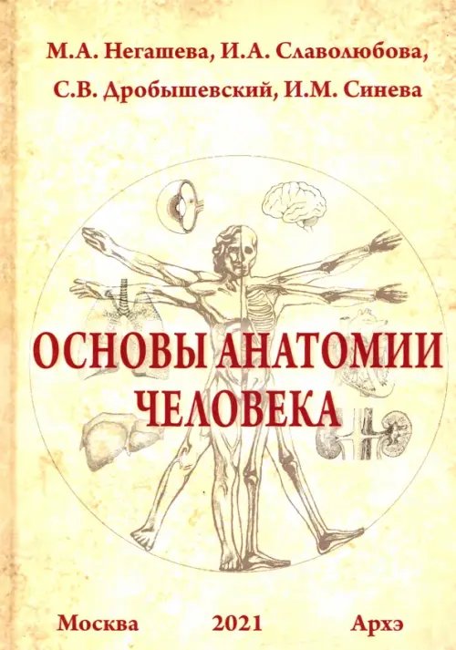 Основы анатомии человека. Учебное пособие