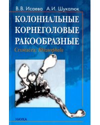 Колониальные корнеголовые ракообразные. Бесполое размножение, стволовые клетки