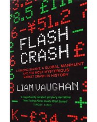 Flash Crash: The Most Mysterious Market Crash in History