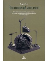 Практический интеллект. Как критически мыслить, моделировать ситуации, глубоко анализировать