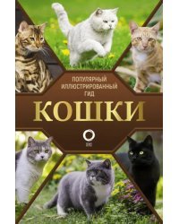 Кошки