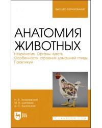 Анатомия животных. Неврология. Особенности строения домашней птицы. Практикум