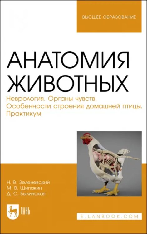 Анатомия животных. Неврология. Особенности строения домашней птицы. Практикум