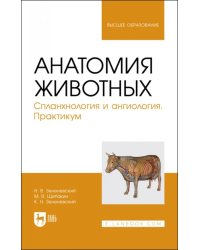 Анатомия животных. Спланхнология и ангиология. Практикум. Учебное пособие для вузов