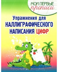 Упражнения для каллиграфического написания цифр. Учебное пособие