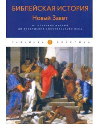 Библейская История. Новый Завет. От избрания Матфия до завершения апостольского века