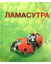 Ламасутра