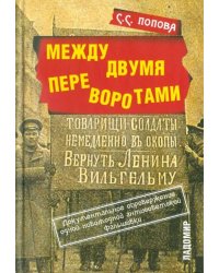 Между двумя переворотами. Документальные свидетельства о событиях лета 1917 года в Петрограде