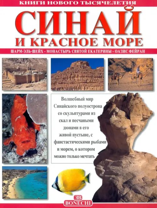 Синай и Красное море. Шарм-Эль-Шейх. Монастырь святой Екатерины. Оазис Фейран