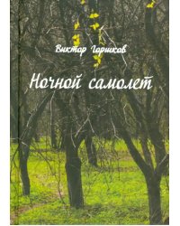 Ночной самолёт. Стихи