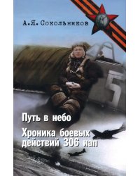 Путь в небо. Хроники 306 иап. Покорение Сибири