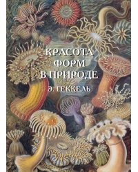 Красота форм в природе. Э. Геккель