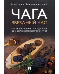 Чага. Звездный час. Современные сведения об уникальном российском грибе