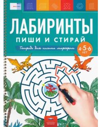 Лабиринты. Пиши и стирай. Тетрадь для письма маркером для детей 4-5-6 лет