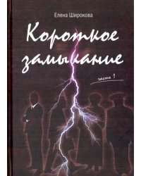 Короткое замыкание. Часть 1. Утки на плинтусе