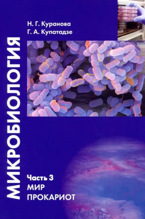 Микробиология. Часть 3. Мир прокариот. Учебное пособие