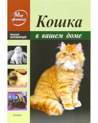 Кошка в вашем доме