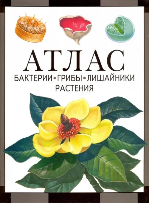 Атлас. Бактерии, грибы, лишайники, растения