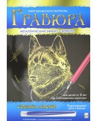 Гравюра золотая. Собака хаски