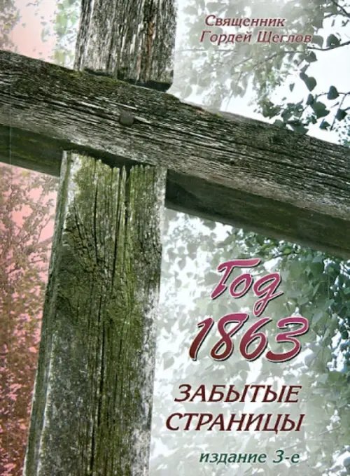 Год 1863. Забытые страницы