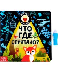 Книга с фонариком. Что где спрятано?