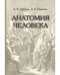 Анатомия человека