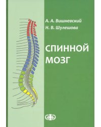 Спинной мозг. Клинические и патофизиологические сопоставления