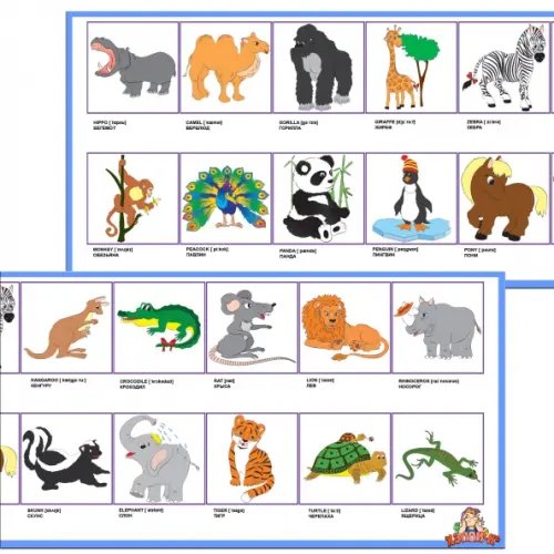 Набор для создания развивающих материалов. Английский язык. Зоопарк (А-144)