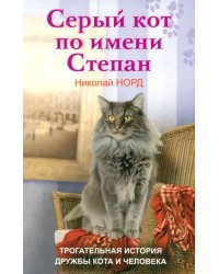 Серый кот по имени Степан. Трогательная история дружбы кота и человека