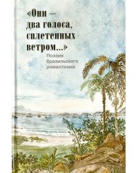 &quot;Они - два голоса, сплетенных ветром...&quot;. Поэзия бразильского романтизма