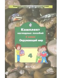 Комплект наглядных пособий. 3 класс. Окружающий мир. В 4-х частях. Часть 4