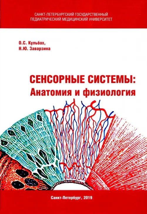 Сенсорные системы. Анатомия и физиология