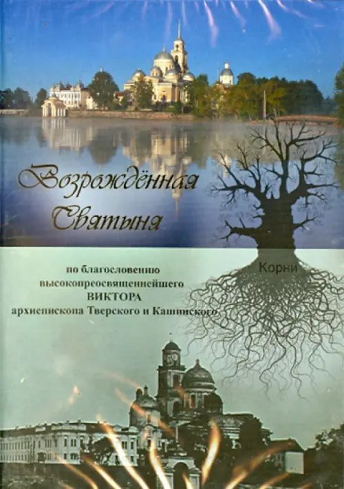 DVD. Возрожденная святыня