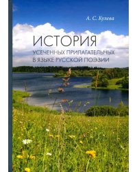 История усеченных прилагательных в языке русской поэзии