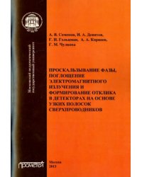 Проскальзывание фазы, поглощение электромагнитного излучения и формирование отклика в декторах