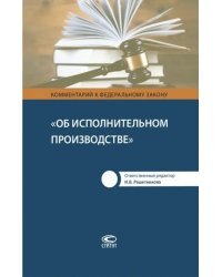 Комментарий к Федеральному Закону &quot;Об исполнительном производстве&quot;