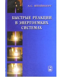 Быстрые реакции в энергоемких системах. Высокотемпературное разложение ракетных топлив и взрывчатых