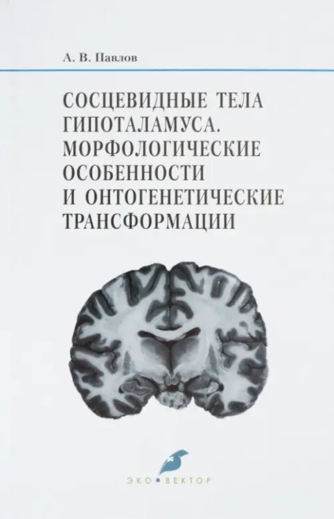 Сосцевидные тела гипоталамуса. Морфологические особенности и онтогенетические трансформации