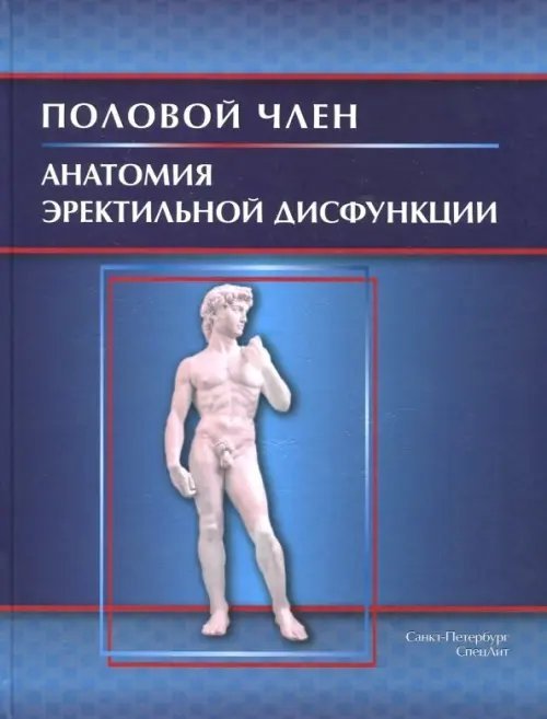 Половой член. Анатомия эректильной дисфункции