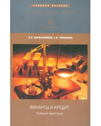 Учебный практикум по дисциплине &quot;Финансы и кредит&quot;