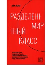 Разделенный мир. Разделенный класс. Глобальная политическая экономия и стратификация труда