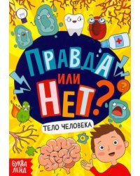 Правда или нет? Тело человека