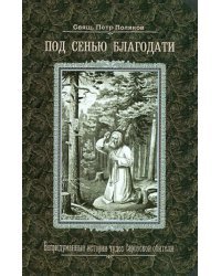 Под сенью благодати.Непридуманные истории чудес Саровской обители