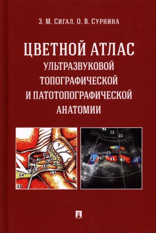 Цветной атлас ультразвуковой топографической и патотопографической анатомии. Учебное пособие