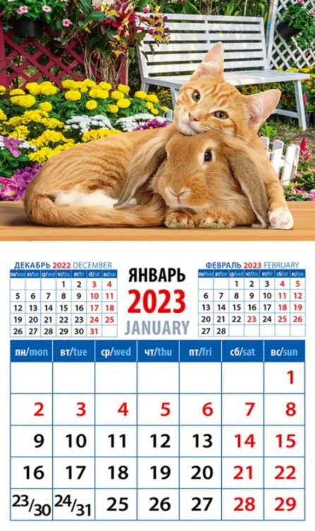 Календарь на 2023 год. Год кота и кролика. Настоящие друзья