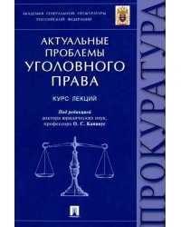 Актуальные проблемы уголовного права. Курс лекций